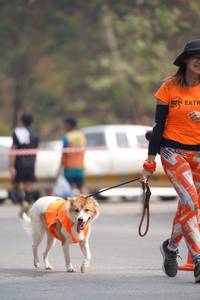 BIB: 
                            <button type="button" onclick="openModal(8708998)" class="btn btn-primary btn-sm float-right btn-popup" data-toggle="modal" data-target=".modal-high-quality">
                        <i class="fas fa-shopping-cart"></i> Add to Cart
                    </button>
                                            <button type="button" onclick="isThisMe(8708998, true)" class="btn btn-success btn-sm float-right btn-popup btn-isme hidden" data-toggle="tooltip" data-placement="bottom" title="นี่คือรูปของคุณใช่ไหม คลิกที่นี่เพื่อเอาเข้าอัลบั้ม">
                        <i class="fas fa-plus"></i> Add to album
                    </button>
                    <button type="button" onclick="isThisMe(8708998, false)" class="btn btn-warning btn-sm float-right btn-popup btn-isnotme hidden">
                        <i class="fas fa-ban"></i> Remove from album
                    </button>